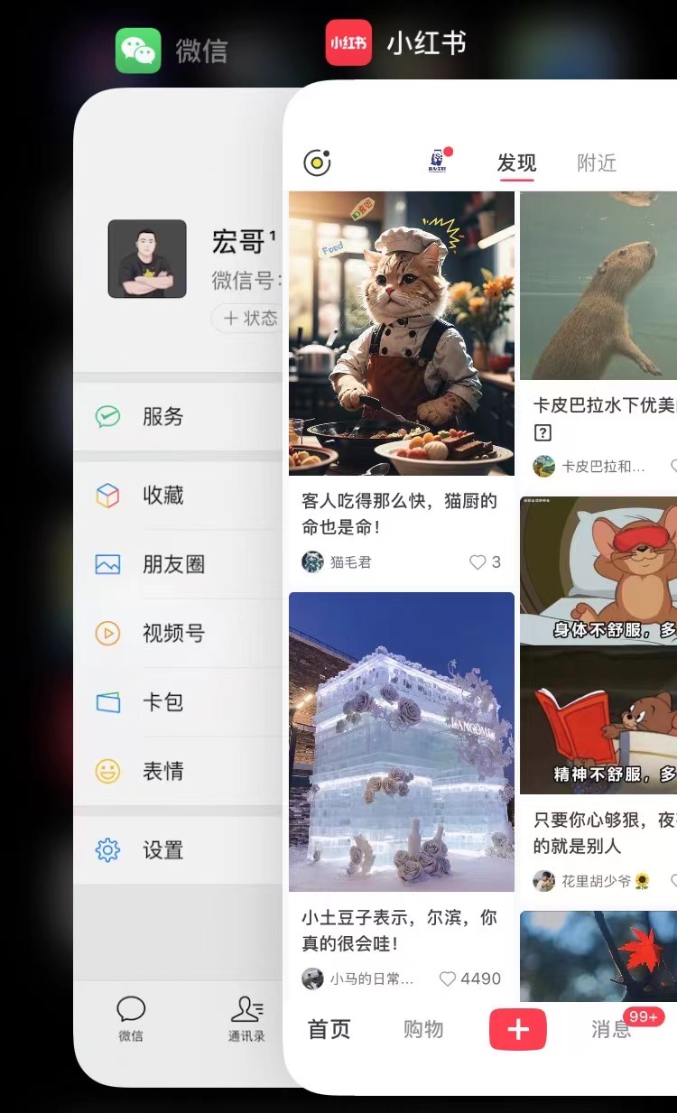 图片[3]-小红书热门萌宠项目，无脑搬运，保姆级实操教程。 - 87副业网-87副业网